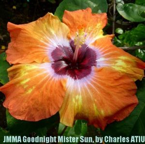 2-JMMA Goodnight Mister Sun