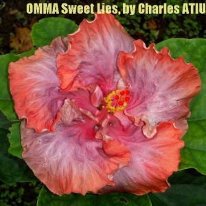 12-OMMA Sweet Lies