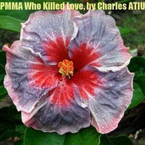 PMMA Who Killed Love