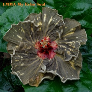 3- LMMA My Echo Soul