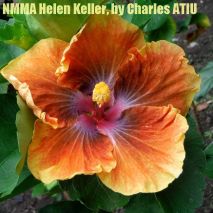 NMMA Helen Keller